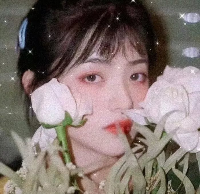 搞姬日常